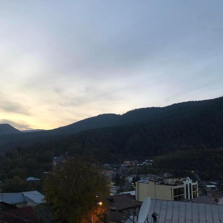 Lukassalomea Lägenhet Borjomi Exteriör bild
